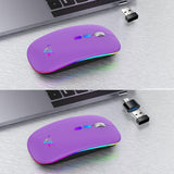 Bluetooth-os Vezeték Nélküli RGB Egér, USB-C Adapterrel - Open Box - Outlet24