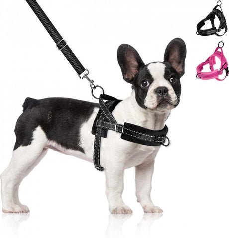 Állítható kutyahám puha párnázott pórázzal, Fekete L-es méretben, Póráz hossza: 100 cm - 151 cm (max. 165 cm) - Outlet24