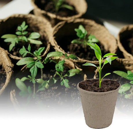 INIFLM Biodégradálható Környezetbarát Papír Palántázó Csésze 50 darabos Készlet, Növény Címkékkel - Outlet24