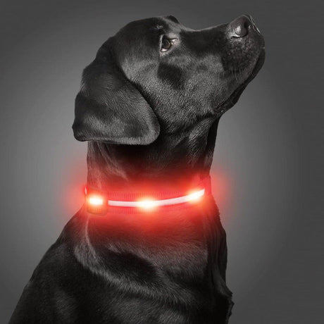 LED Airtag Kutyanyakörv, Éjszakai Biztonsági Világító Nyakörv USB Tölthető Extra Kis Kutyákhoz, Piros XS méret - Outlet24
